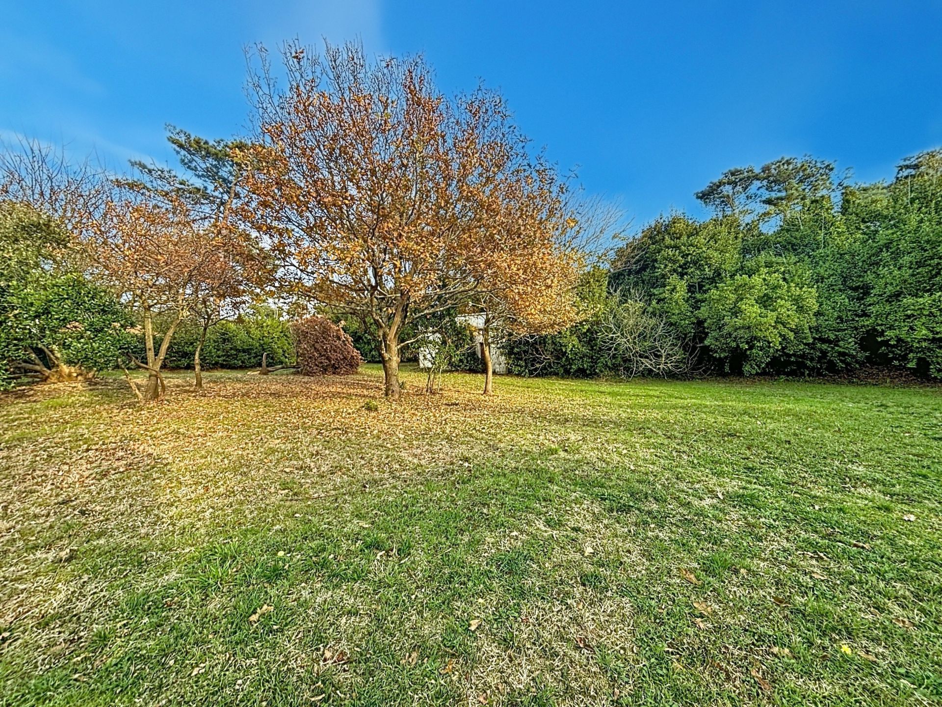 terrain en vente sur ANGLET (64600)