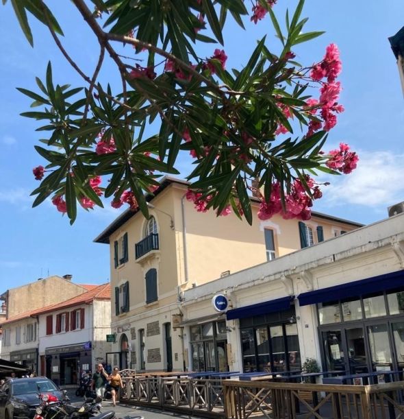 Vente Appartement Biarritz 4&nbsp;Pièces 163&nbsp;m²