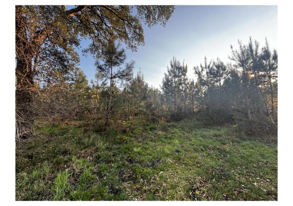 Sale Land Saint-Martin-de-Seignanx 6200 m²