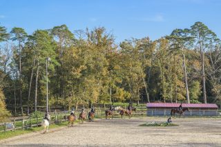 propriété équestre 18 Pièces en vente sur URRUGNE (64122)