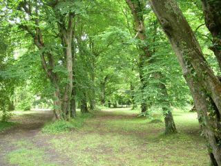 castle 15 Rooms for sale on DAX (40100)